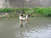 water_03.jpg