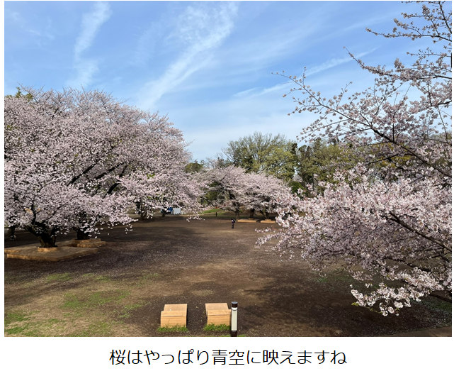 オオスミのブログ