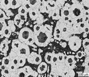 球状黒鉛鋳鉄組織