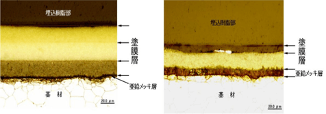 塗膜層の断面観察例